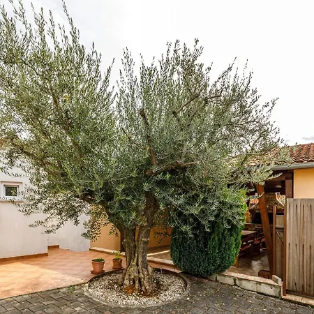 Casa Etruscana